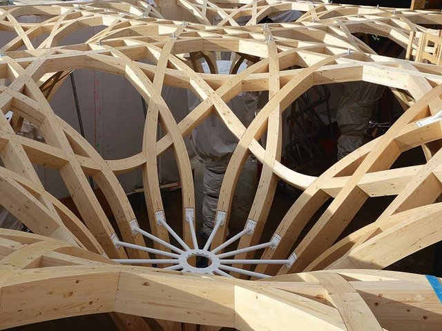 Wie Bäume streben die 30 frei geformten Holzsäulen des Tragwerks in die Höhe ...