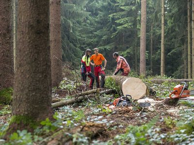 Besser Bauen mit Schweizer Holz