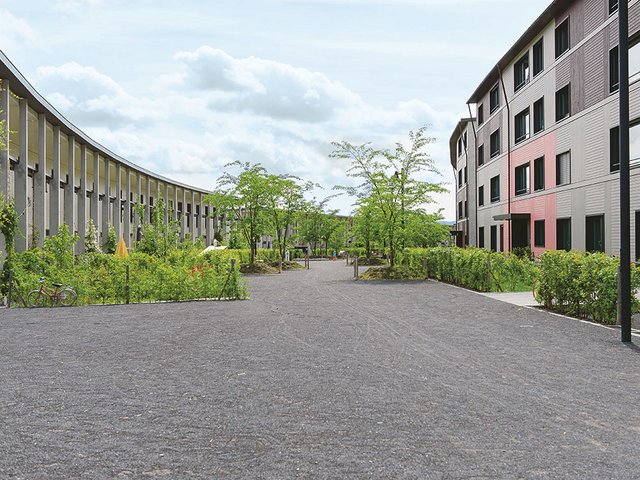 1 Grünmatt ist die erste autofreie Siedlung der Familienheim-Genossenschaft Zürich FGZ. Sie bietet einen Mix an Geschosswohnungen und Reihenhäusern.