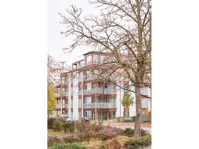 «Erstlingswerk» in Holz