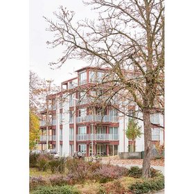 «Erstlingswerk» in Holz