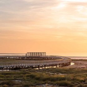 Über Salzwiesen und Watt