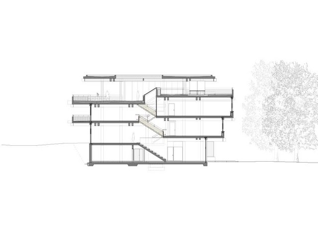 Der Hybridbau im Querschnitt: Die grossen Spannweiten der Tragstruktur aus einem Holz-Beton-Verbundsystem ermöglichen flexible, grosszügige und wandelbare Räume für kreatives Arbeiten.