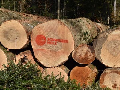 Nachhaltige Vielfalt für jeden Geschmack