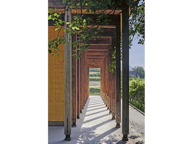 Flankiert wird das Schulungsgebäude für Imker von zwei Laubengängen. Stützen und Deckenträger sind aus Schweizer Tannenholz gefertigt, dessen Oberfläche geflammt und gebürstet wurde.